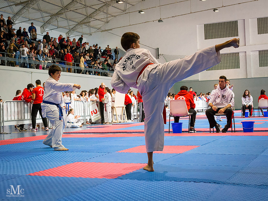 COPA SEUL, 2017  (57).JPG